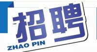 岱岳區(qū)政務(wù)服務(wù)中心招人啦！大專以上學(xué)歷，即日起報(bào)名